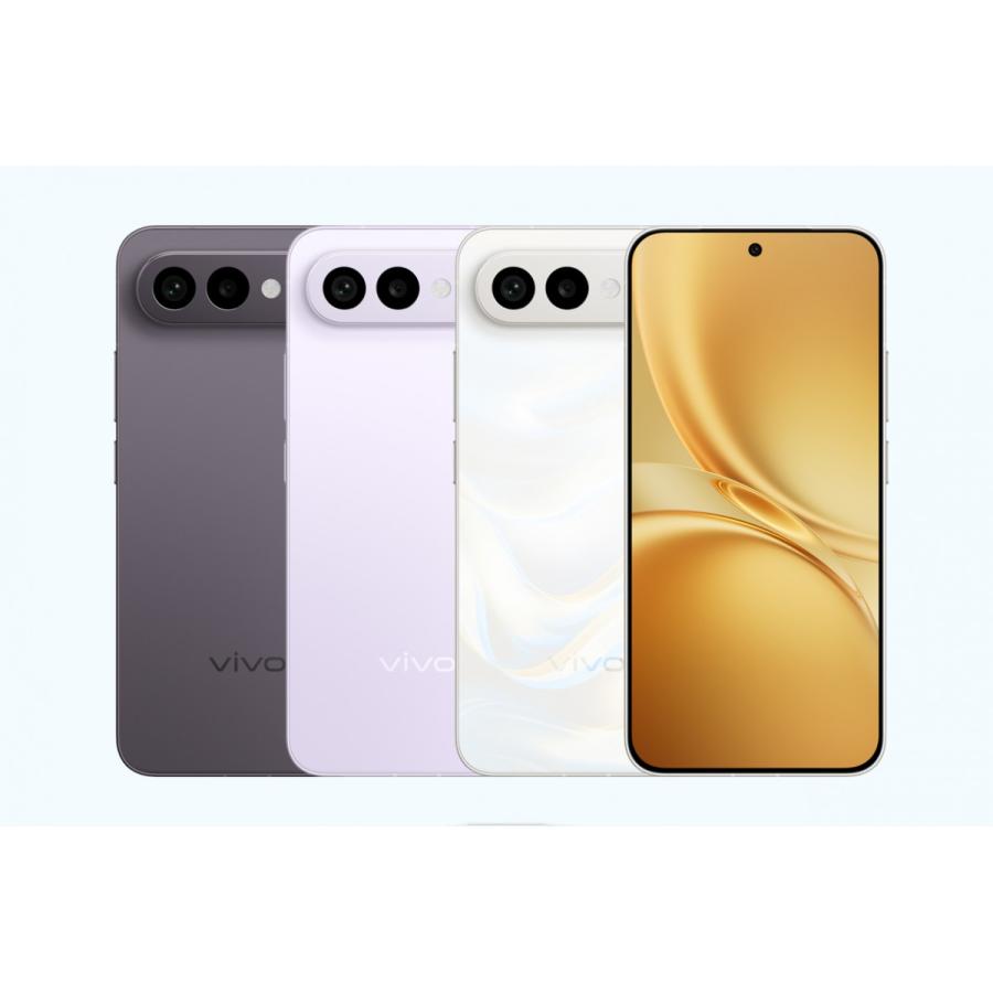 vivo X300