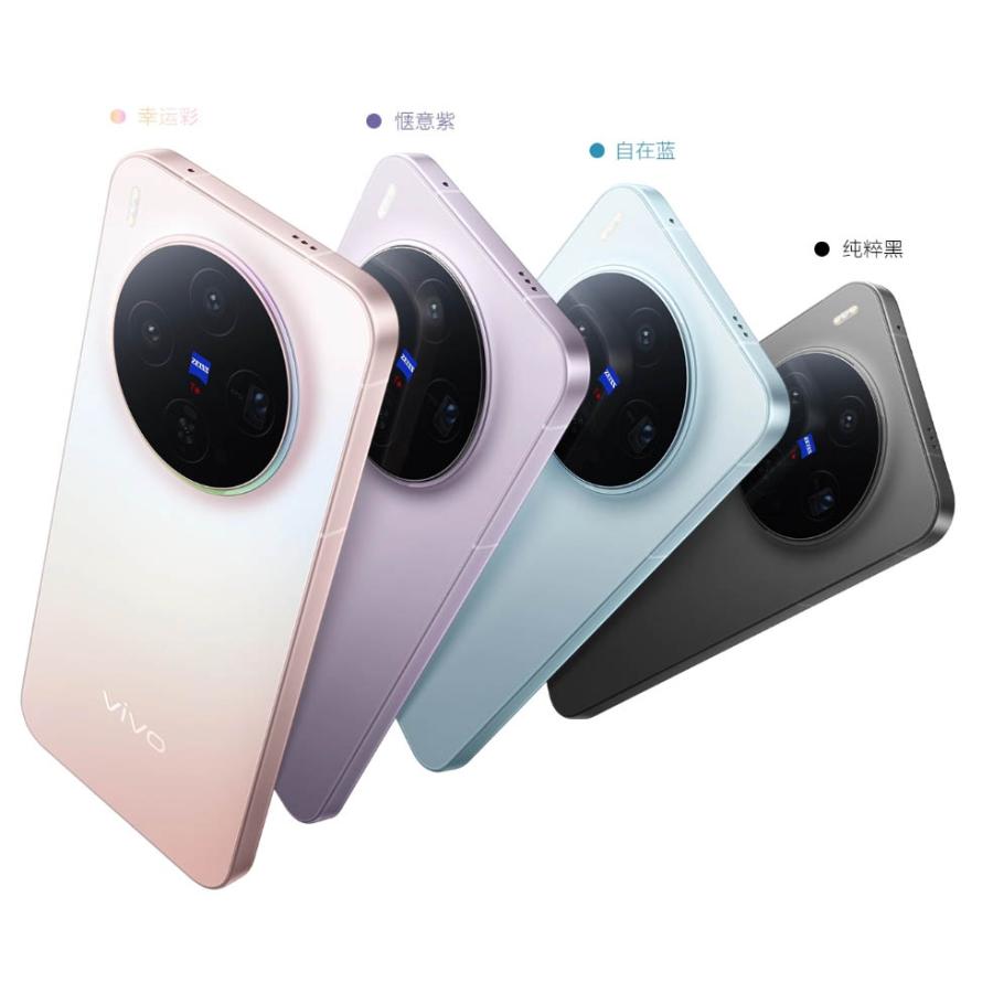 vivo X300