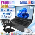 Pasoul SSD 256GB