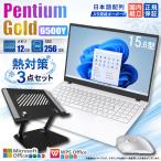PASOUL SSD 256GB