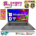 PASOUL SSD 256GB
