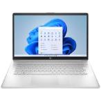 Lenovo 17.3" FHD Notebook AMD