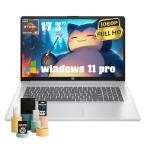 Dynabook 17.3" Business Student Laptop, AMD