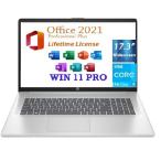 Dynabook HP 17.3" HD+ Business Laptop, 13th Gen Intel