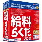 BSLシステム研究所 給料らくだプロ26