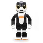 SHARP シャープ(SHARP) SR-04M-Y イエロー RoBoHoN