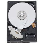 Western Digital 【平行輸入品】Western Digital Caviar Green 1TB AV 32MB キャッシュ 5400 RPM 内蔵ハードドライブ OEM - Sky + 互換アップグレード