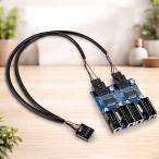 【内部USB9ピン電源用】マザーボードのUSB 9ピン 増設 内部用 4ポート 【内部USB9ピンを4ポート拡張タイプ】