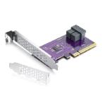 【並行輸入品】 PCIe to SFF-8643 Adapter for U.2 SSD, X8, (2) SFF-8643, Requires Motherboard BIOS Support for Bifurcation, Support Windows