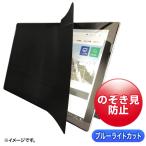 SANWA SUPPLY サンワサプライ 2WAY覗き見防止フィルム(iPad Pro 10.5インチ対応) LCD-ZE2LN105IPADP