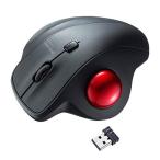 SANWA SUPPLY WTB129BK