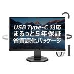 PHILIPS (ディスプレイ) 243B9/11