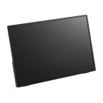 プリンストン 13.3型 モバイルディスプレイ フルHD 10点タッチ IPS ノングレア 16:9 3.5mmミニピンジャック スピーカー1Wx2 250cd 30ms ブラック PTF-M133T2