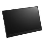 プリンストン 15.6型 モバイルディスプレイ フルHD 10点タッチ IPS ノングレア 16:9 3.5mmミニピンジャック スピーカー1Wx2 250cd 20ms ブラック PTF-M156T2