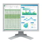 EIZO ＥＩＺＯ FlexScan S2134-HGY 目安在庫=△