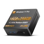 B41Y Pentium Gold 6500Y 16GB 256GB