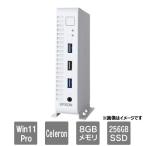Endeavor Celeron 6305 8GB 256GB MC56010999