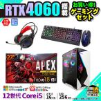 PASOUL Core i5 16GB RTX 4060 256GB