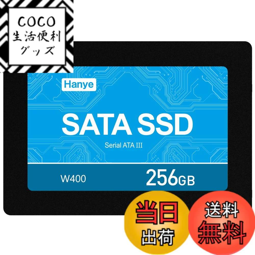 SanDisk M.2 NVMe 256GB｜SanDisk coco26 10140784 Gen4x4