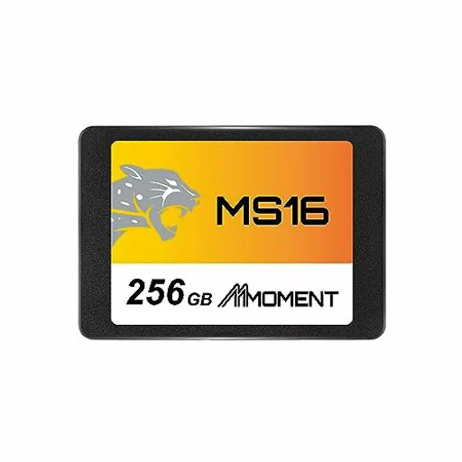 MMOMENT 2.5インチ SATA 256GB｜MMOMENT MS16 ( ) ボックスパッケージ