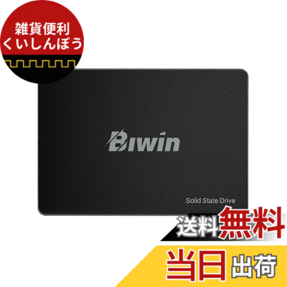 Biwin 2.5インチ SATA 512GB｜Biwin M100