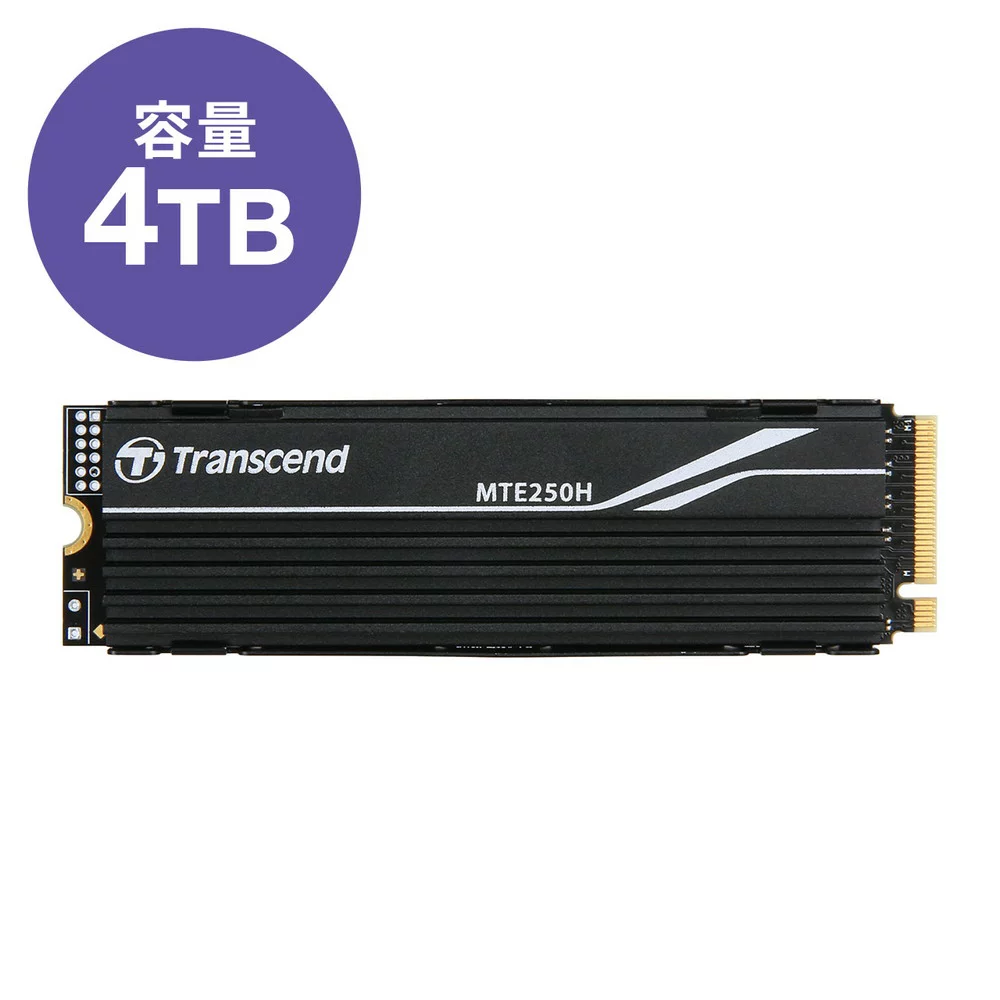 Transcend TS4TMTE250H