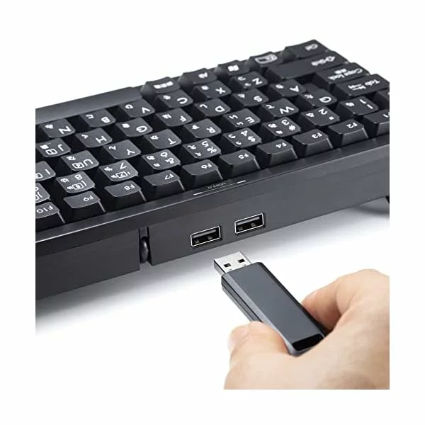サンワサプライ USBハブ付コンパクトキーボード SKB-KG3UH2BK ブラック テンキーなし