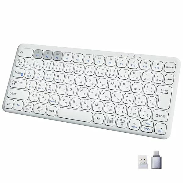 キーボード 【送料無料】Ewin キーボード Bluetooth ワイヤレス 無線 2.4GHz（USBレシーバー付属）コンパクト Type-C充電式 JIS基準 日本語配列 静音 薄型 軽量 人間工学設計 マルチペアリング 三台デバイス対応 PC iPad ス