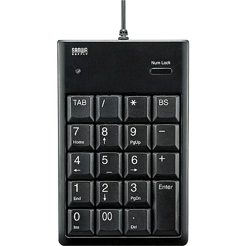 サンワサプライ NT-16UBKN USBテンキー（ブラック）