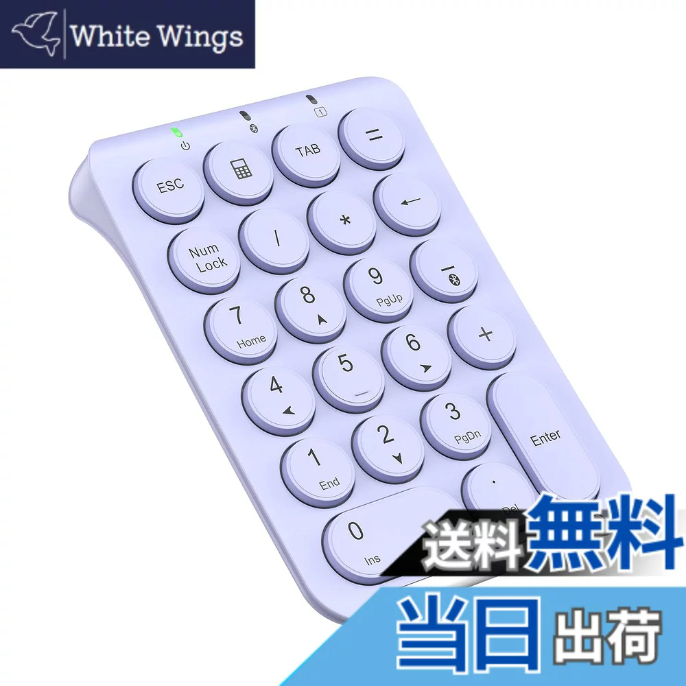 iClever 【送料無料】iClever テンキー Bluetooth ワイヤレス 数字 キーボード パンタグラフ式 Type-C充電 超薄型 Tabキー付き ブルートゥース 無線 ナンバーパッド 左手デバイス 片手デバイス ショートカットキー Windows/iOS/Android対応 IC-KP08 (パープル)