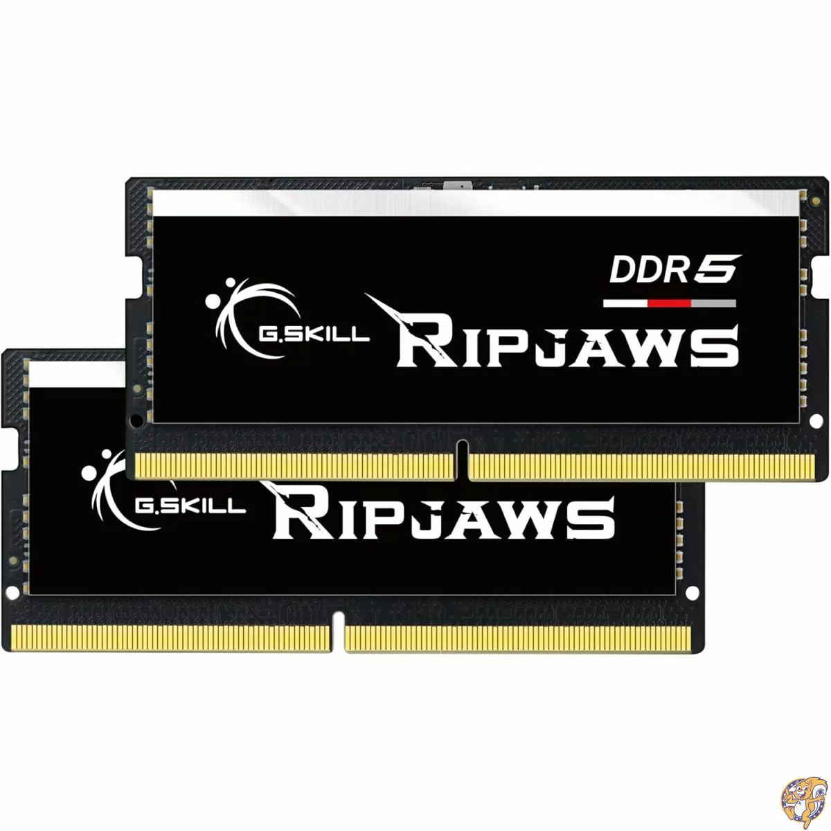 G.Skill Ripjaws DDR5 SO-DIMM シリーズ RAM 96GB (2x48GB) 5600MT/s CL46-45-45-89 1.10V アンバッファード ノンECCノートブック/ノートパソコンメモリ (F5-5600S4645A48GX2-RS)