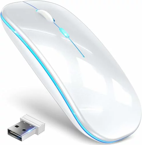 マウス 2024超薄モデル マウス bluetooth マウス 無線 極静音 ワイヤレスマウス 2.4GHz＆Bluetooth両接続 静音マウス 薄型