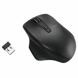ナカバヤシ ＼楽天カードポイント5倍！5/15／ ナカバヤシ BlueLEDマウス 2.4GHz 静音 5ボタン ワイヤレスマウス ブラック MUS-RKF155BK 【送料無料】