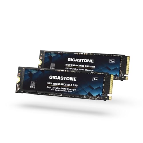 Gigastone M.2 2280 NVMe 1TB｜Gigastone GS-PCIe-SSD-NAS7320- -2PK-B GS-PCIe-SSD-NAS7320-1TB-2PK-B