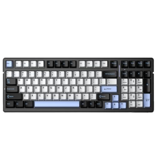 DHycsWEJt F99 メカニカルキーボード 5.0/2.4 グラムワイヤレス/有線ガスケットマウントゲーミングキーボード 99 キーカスタマイズ可能なキーボードと互換性(Black-Blue) DHycsWEJt123