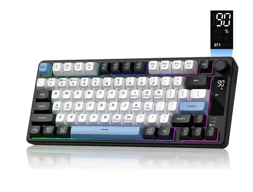 Womier DK75 ゲーミングキーボード ワイヤレス 75%レイアウト トライモード(有線/BT/2.4GHz)多機能ノブ、ディスプレイ付き