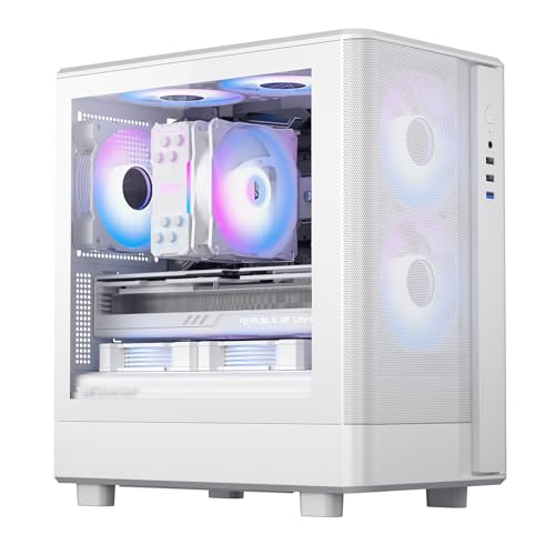 darkFlash Micro ATX 、3つのPWM ARGBファン 、フルビューデュアル強化ガラスMATXゲーミング 、タイプCポート、最大240mm AIO(DB330 MESH)をサポート(ホワイト)