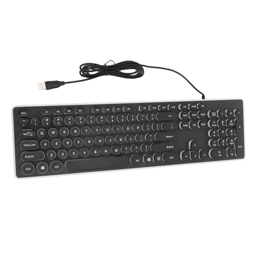 VIBRIPRIYA メカニカルゲーミングキーボード、有線円形キーボード 104 キー調整可能な RBG レトロパンクコンピュータキーボード E (黒) JP117240601