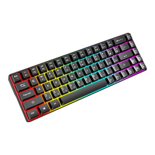 SLXLYH コンパクトメカニカルゲーミングキーボード 68キー タイピング用 LEDバックライト付き クリアレター オフィスホーム用(ブラック)
