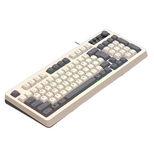 LckCryspho バックライト ゲーミングキーボード 98キー 白グレー – 人間工学設計 USB接続 ARGB照明 マルチメディアノブ付き (ホワイトグレー。) LckhZ3J7905F-39