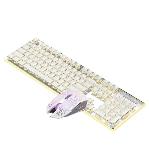 Roisin 有線メカニカルキーボード、マウス付き、LED サイレントキーボード、ゲーミングキーボード、防水、E スポーツやオフィスでの使用に最適 - C
