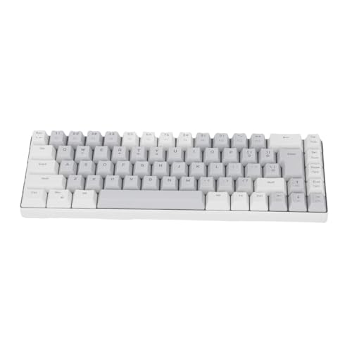 Matybobe USB 有線 RGB バックライト付きゲーミングキーボード 68 キーメカニカルフィールコンパクトタイピストラップトップ白とグレー Matyb42sudoimc7