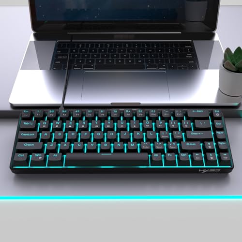 Yanmis ゲーミングキーボード、有線メカニカルキーボード、防水、バックライト付き68キーブルースイッチコンピュータキーボード、OS XおよびLinux用 Yanmi7un1v2yr69