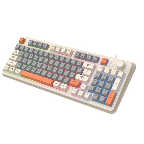 Xinsheinelry ポータブルコード付きメカニカルゲーミングキーボード LED バックライト付き 94 キーホットスワップ可能機械式アップグレード旅行に優しい