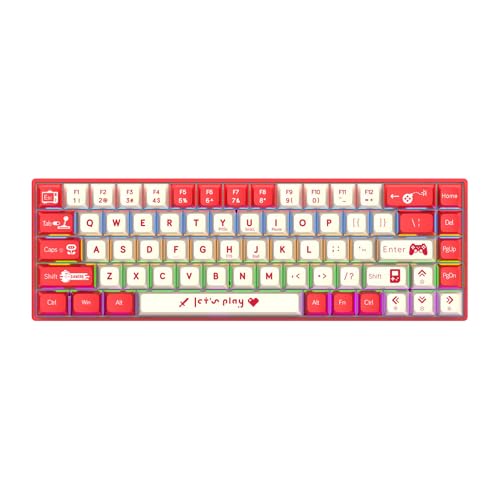 Acogedor メカニカルゲーミングキーボード、68キーUSB有線ポータブルボード、レッドスイッチ付き、RGBライトデュアルカラーコンピュータ、オフィスPCゲーマー用 (赤と白（レッドスイッチ）) Acapgtsfcgq6-11
