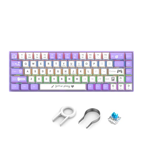 Vbestlife ポータブル 60% メカニカル ゲーミング キーボード、コンパクト 68 キー ブルー スイッチ付きミニ有線オフィス ボード、LED バックライト付き (ースイッチ - グレーホワイ) VBgtpwx43lzf-12