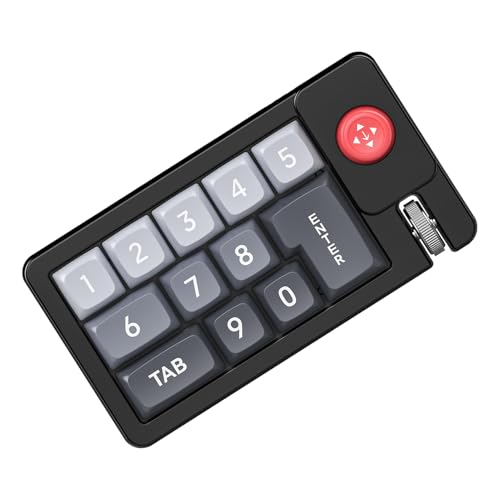 BEROZA カスタマイズ可能 プログラマブルキーパッド | RGBバックライト メカニカルキーボード ゲーミング,有線ホットスワップ可能テンキー ジョイスティック付き 人間工学設計 PCゲーム・音楽制作向け vwf11660