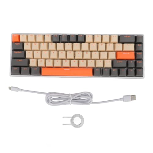 Yanmis USB C 有線キーボード、RGB バックライト付きメカニカルブルースイッチ 68 キーゲーミングキーボード、勝利のための USB C 有線接続 Yanmiz04skdqapn