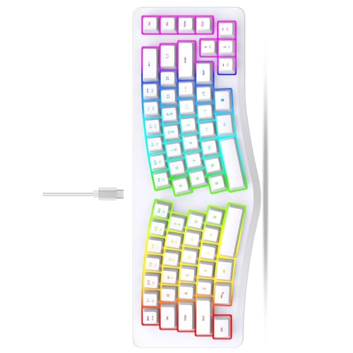 Tizuqe サイレント操作ゲーミングキーボード 69 レイアウト Rgbs カスタマイズ可能なバックライト付きアンチゴーストテクノロジー ユニバーサルプラグプレイ互換性 Rgbs バックライト付きメカニカルキーボード
