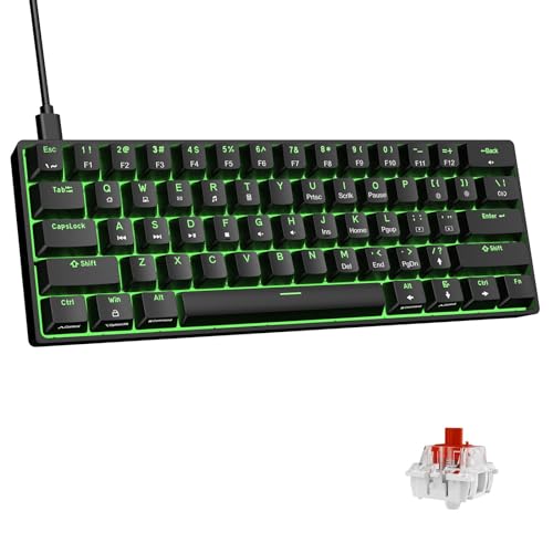 DIERYA ゲーミングキーボード 赤軸 Mini 小型 メカニカルキーボード 60%レイアウト 61キー 英語配列 有線 キーボード 着脱式 USB C 電源ケープル WindowsノートパソコンおよびPCゲーマー向け （ブラック） D-61SE